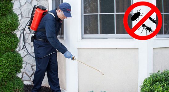 Yağcılar Kene İlaçlama böcek ilaçlama ve haşere kontrolü — ilaclama-tr.com